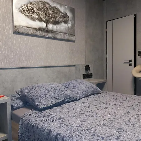 Penzion Vulture Ostrava Guest house 2*