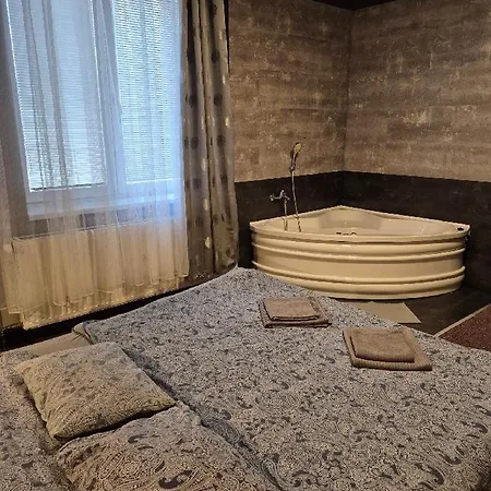 Penzion Vulture Ostrava Guest house 2*
