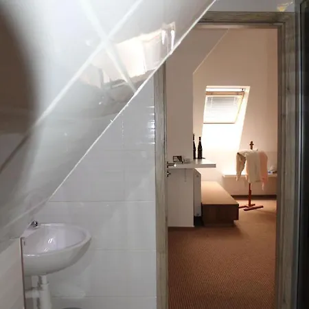 Vulture 2* オストラヴァ